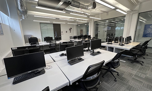 it suite